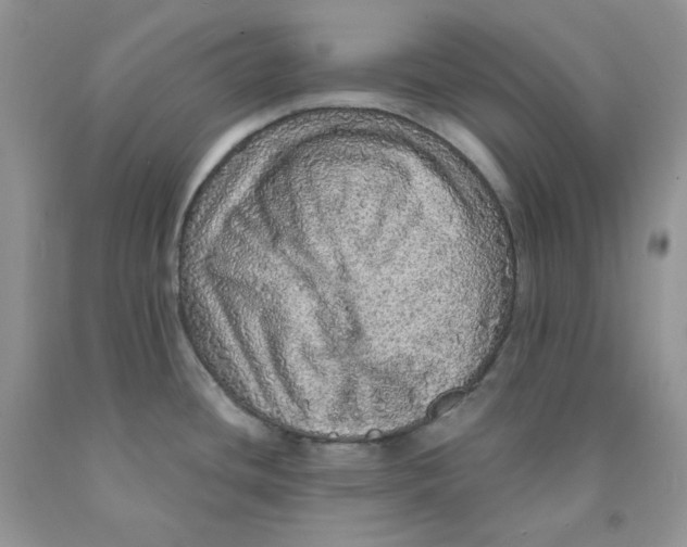 X0000091311436200709071105