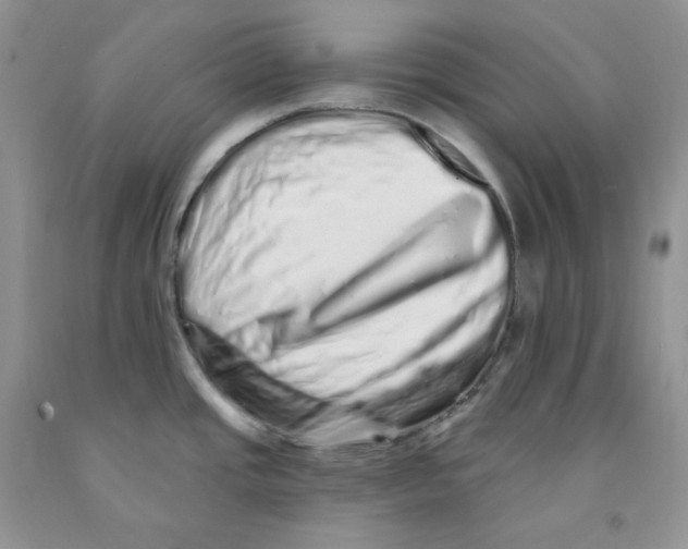 X0000091311437200709071105