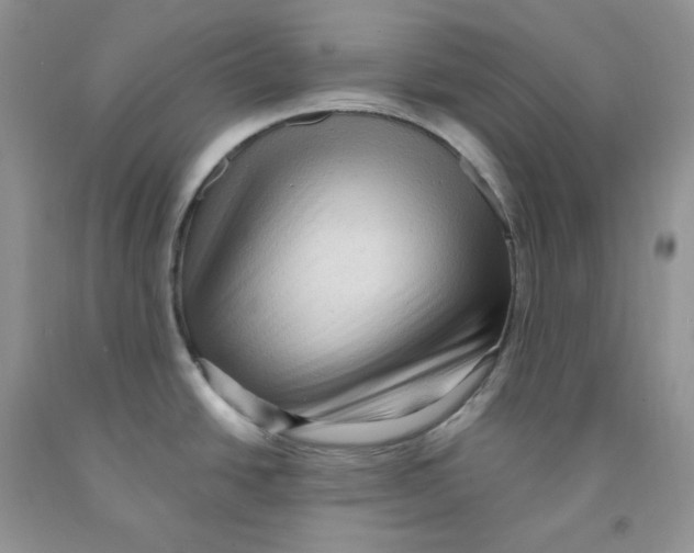 X0000091311438200709071105