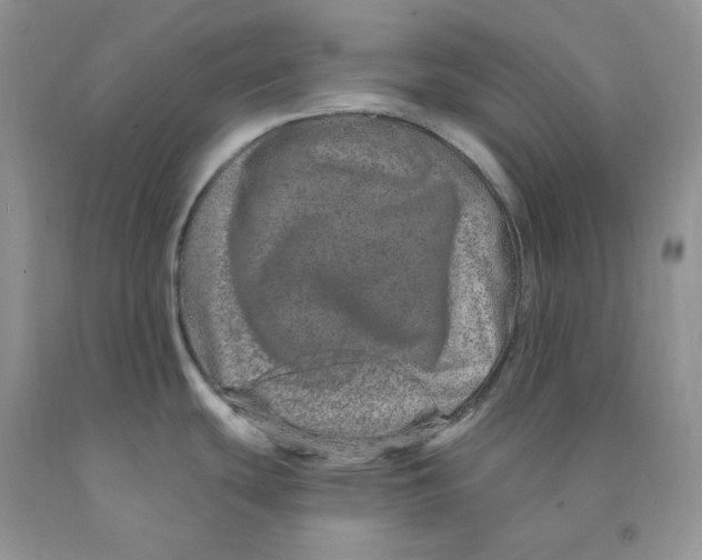 X0000091311439200709071105