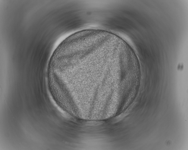 X0000091311440200709071105