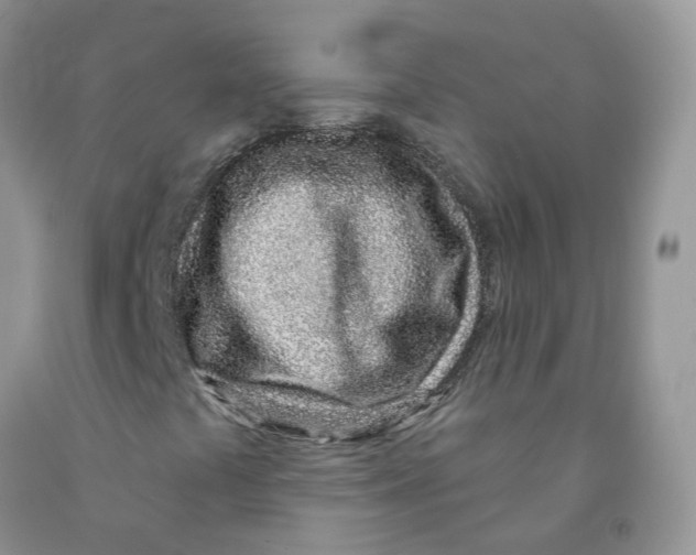 X0000091311441200709071104