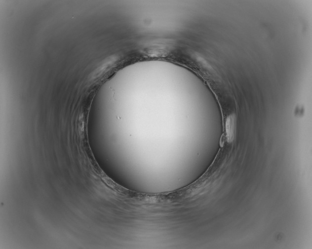 X0000091311443200709071104