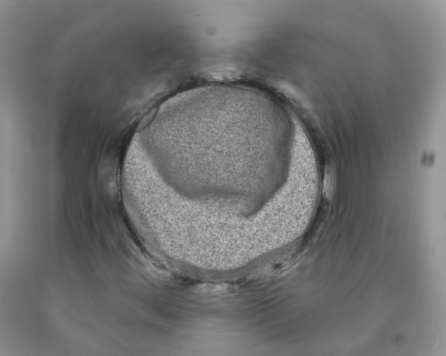 X0000091311444200709071104