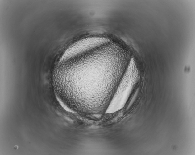 X0000091311445200709071104