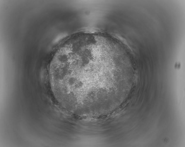 X0000091311446200709071104