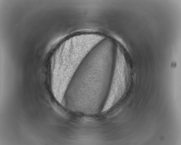 X0000091311448200709071104