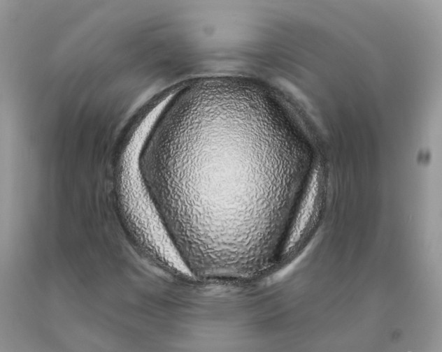 X0000091311449200709071104