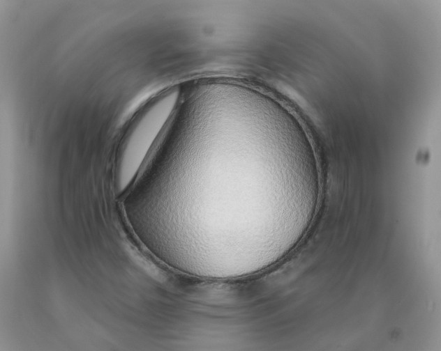 X0000091311450200709071104