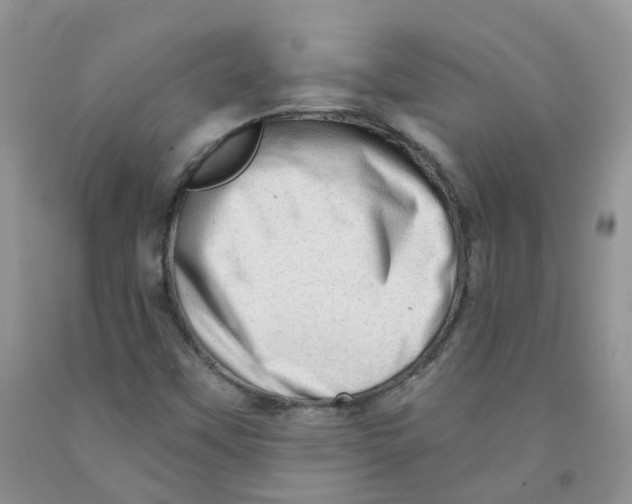 X0000091311451200709071104