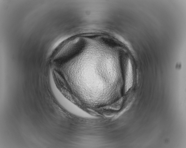 X0000091311453200709071104