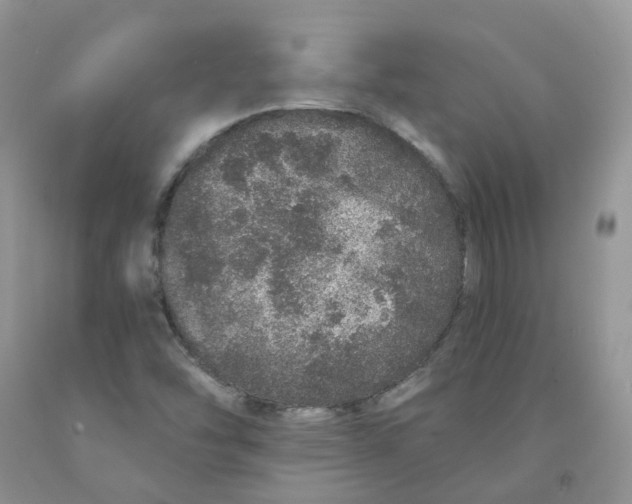 X0000091311454200709071104