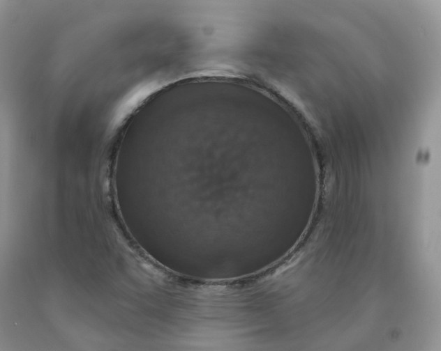 X0000091311455200709071104