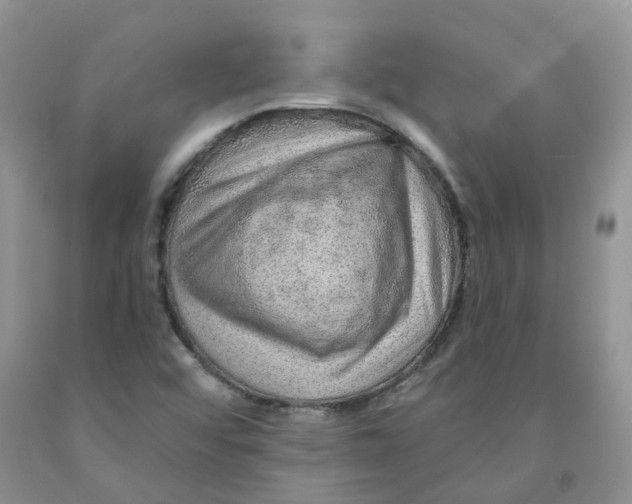 X0000091311456200709071104