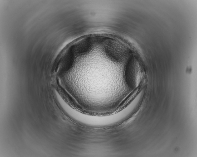 X0000091311457200709071104