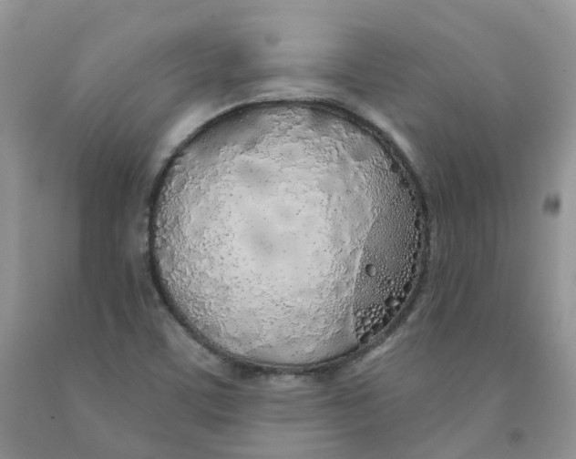 X0000091311459200709071104