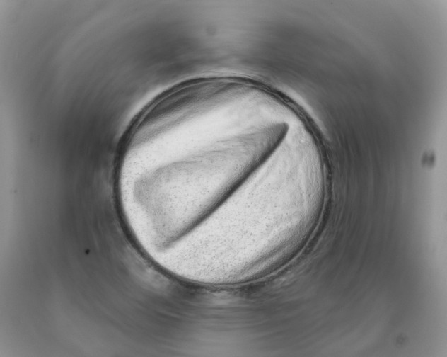 X0000091311460200709071104