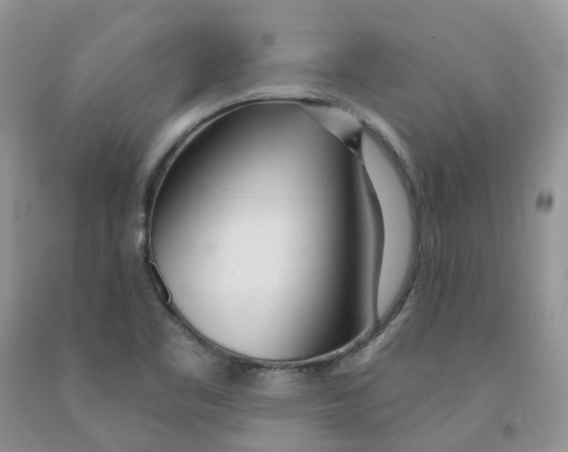 X0000091311461200709071104