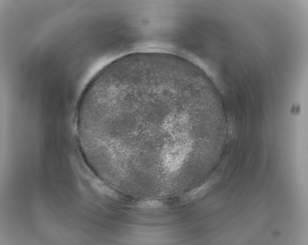 X0000091311462200709071104