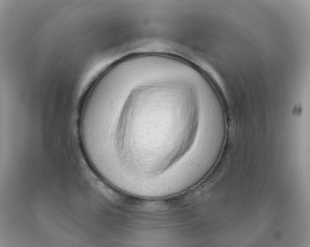 X0000091311464200709071104