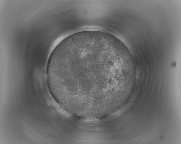 X0000091311466200709071104