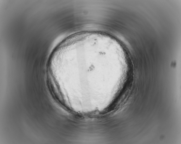 X0000091311467200709071104