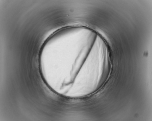 X0000091311468200709071104