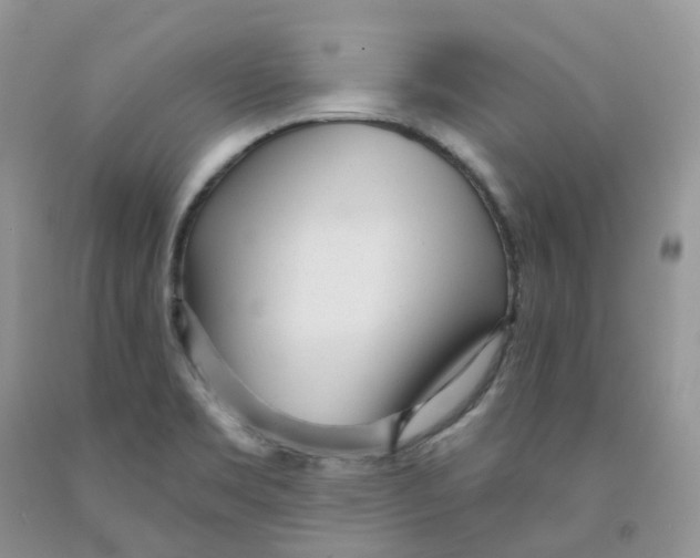 X0000091311469200709071104