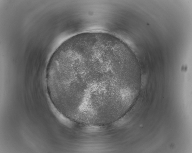 X0000091311470200709071104