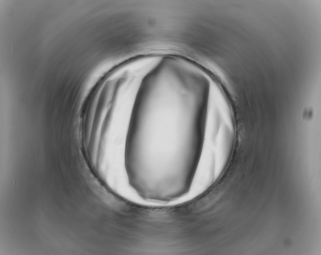 X0000091311472200709071104