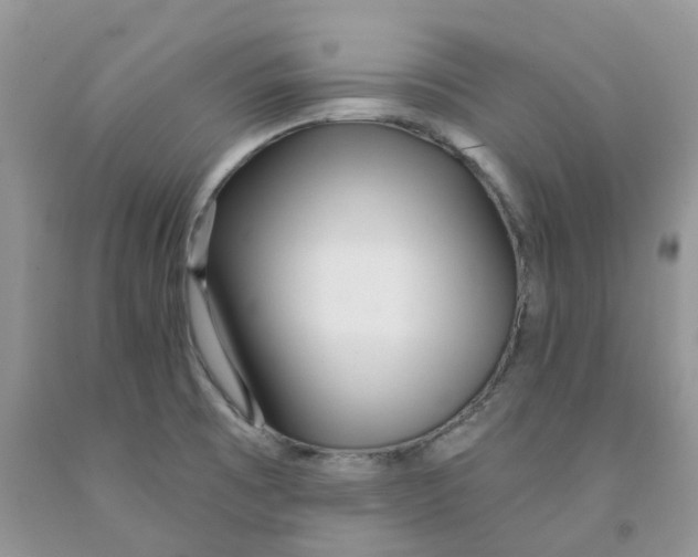 X0000091311473200709071104