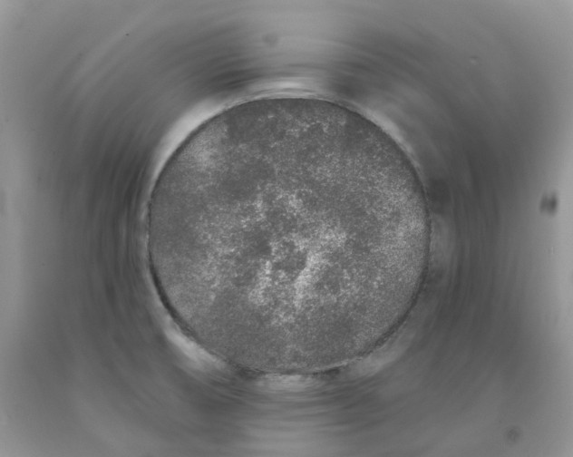 X0000091311474200709071104