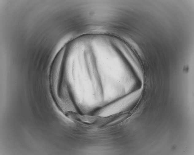 X0000091311475200709071104