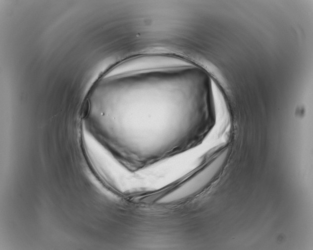 X0000091311476200709071104