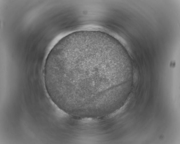 X0000091311478200709071104