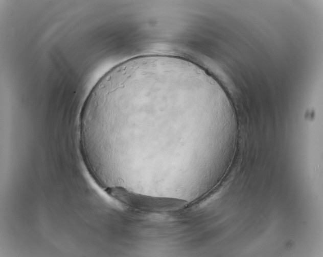 X0000091311479200709071104