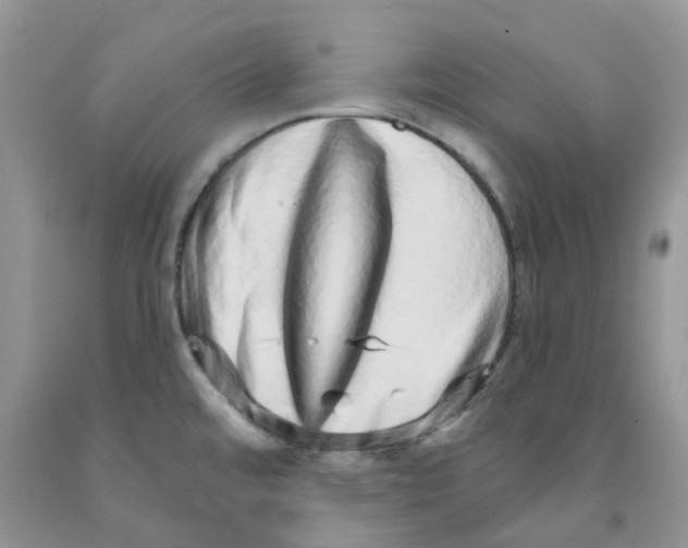 X0000091311480200709071104