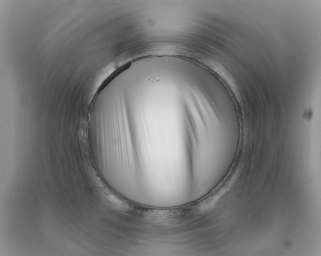 X0000091311481200709071104