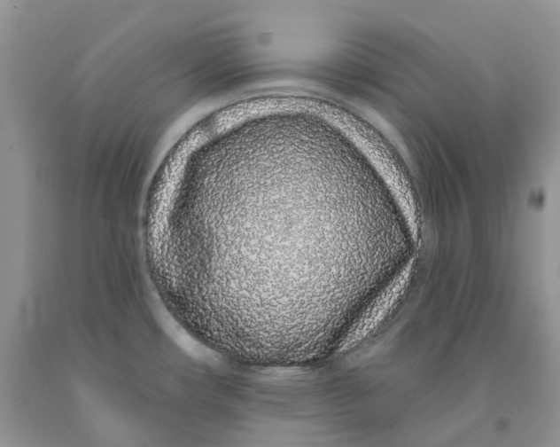 X0000091311482200709071104