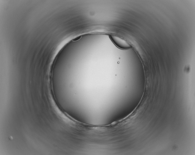 X0000091311483200709071104