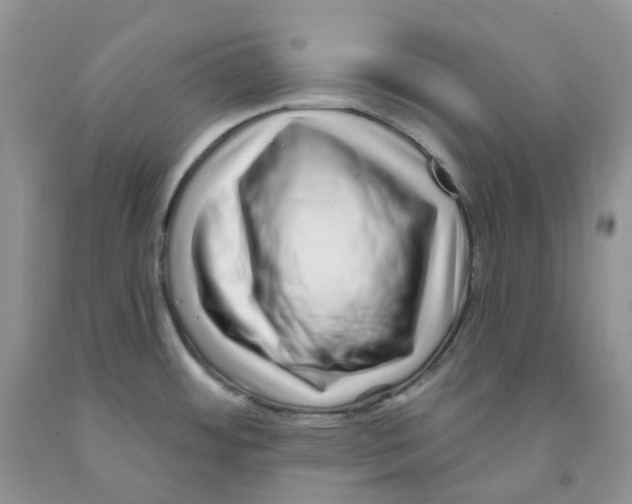 X0000091311484200709071104