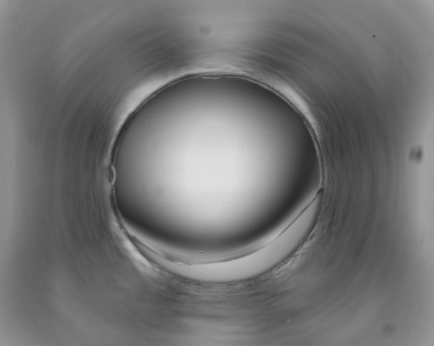 X0000091311485200709071103