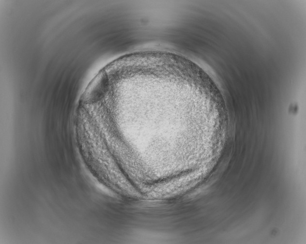 X0000091311486200709071103