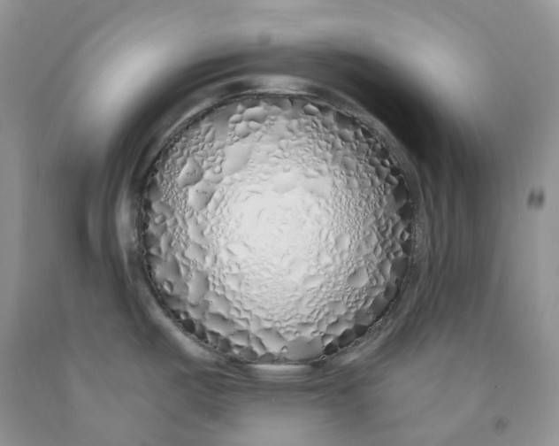 X0000091311487200709071103