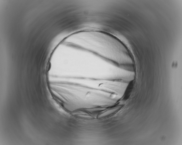 X0000091311488200709071103