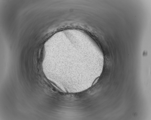 X0000091311489200709071103