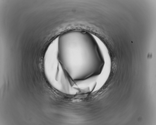 X0000091311490200709071103