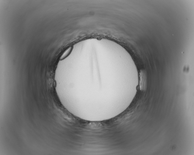 X0000091311491200709071103