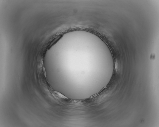 X0000091311492200709071103