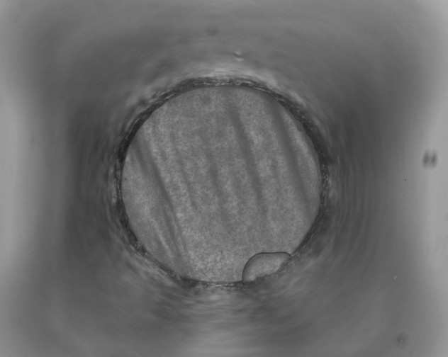 X0000091311493200709071103